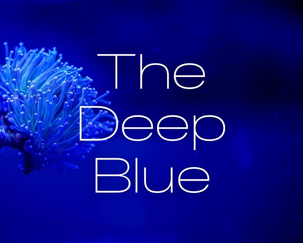 Download relaxing free music 'The Deep Blue' by Maura ten Hoopen, composer of Restful Mind. For meditation, hypnosis, yoga, reiki and theta healing.