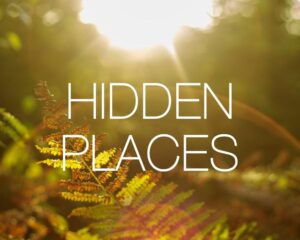 Download royalty free relaxing music 'Hidden Places' by Maura ten Hoopen, composer of Restful Mind. For meditation, hypnosis, yoga, reiki and theta healing.