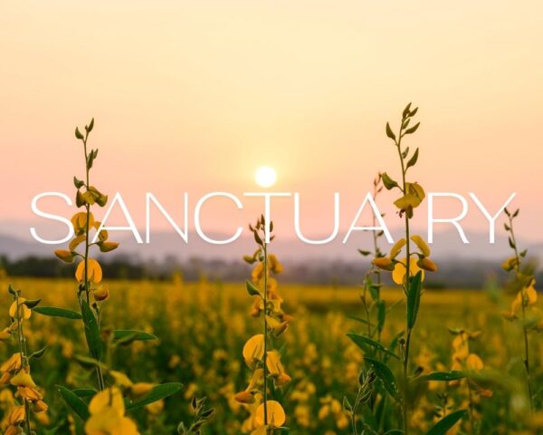 Download royalty free relaxing music 'Sanctuary' by Maura ten Hoopen, composer of Restful Mind. For meditation, hypnosis, yoga, reiki and theta healing.