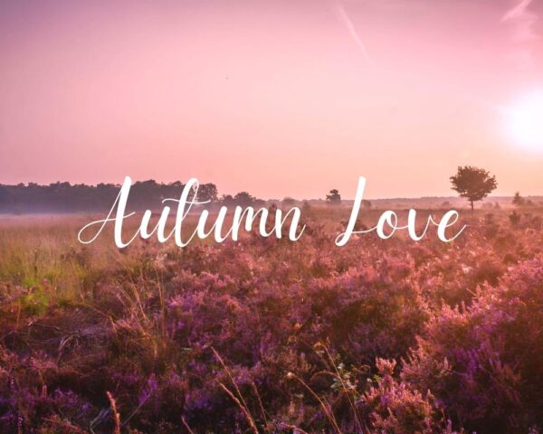 Download royalty free music Autumn Love by Maura ten Hoopen, composer of Restful Mind. For meditation, hypnosis, yoga, reiki and theta healing.