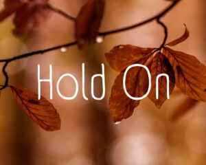 Download royalty free music Hold On by Maura ten Hoopen, composer of Restful Mind. For meditation, hypnosis and yoga.