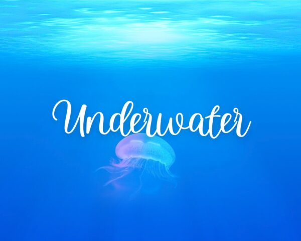 Download the royalty free meditation track Underwater, by Maura ten Hoopen composer of Restful Mind.